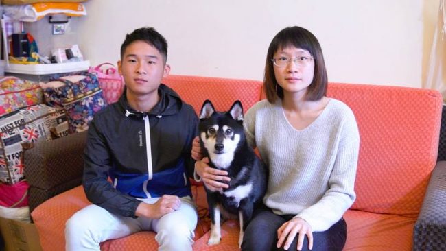 HK01對香港專業寵物保姆的一篇訪問中使用的封面照片