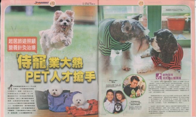 「侍寵」業大熱 Pet人才搶手